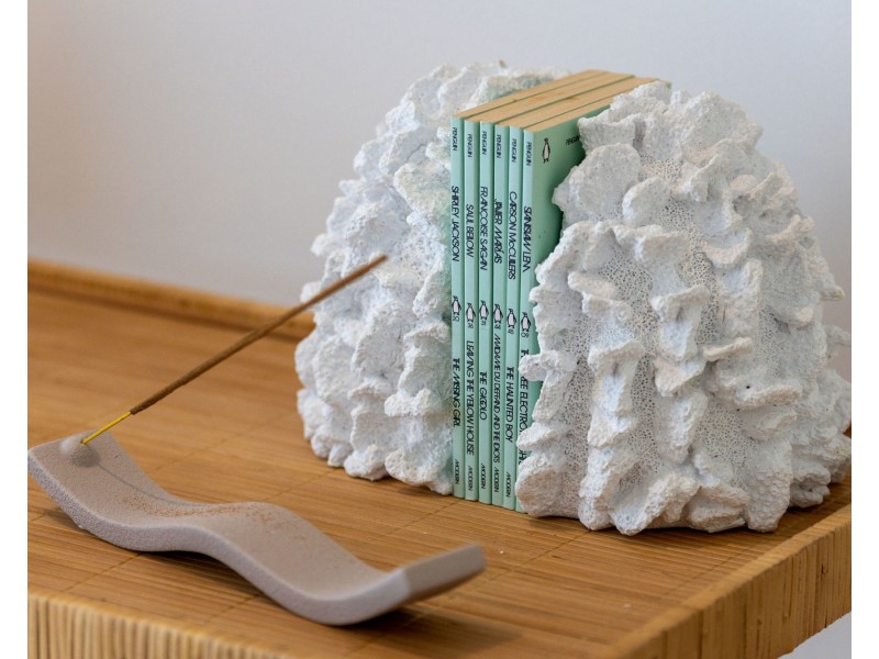 6 Callistemon Place, Currimundi QLD 4551