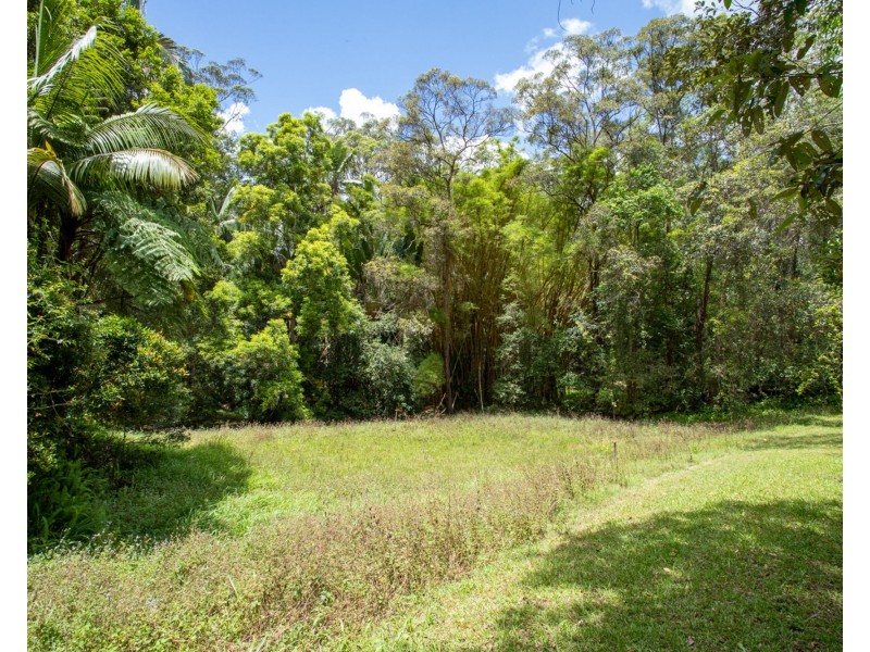 12 Leeons Road, Palmwoods QLD 4555
