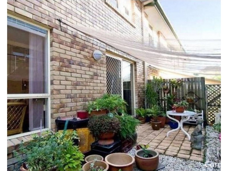 3/5 Evans Street, Maroochydore QLD 4558