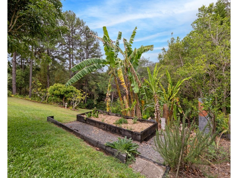 346 Diddillibah Road, Diddillibah QLD 4559