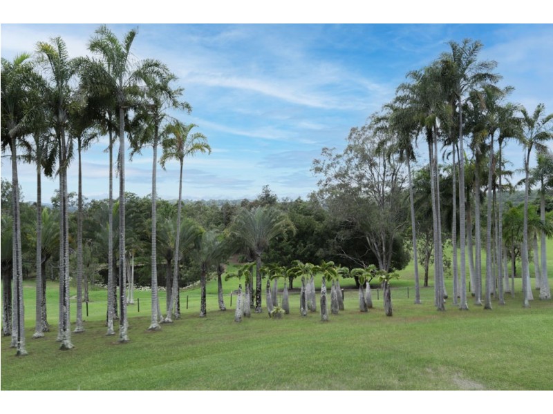 57 Simba Road, West Woombye QLD 4559