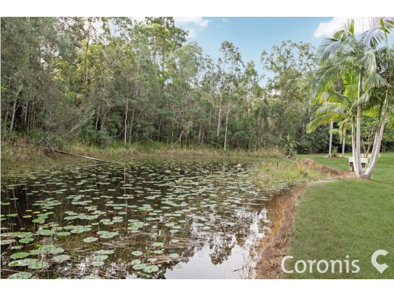 1175 Louis Bazzo Drive, Cootharaba QLD 4565