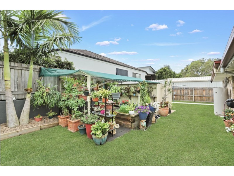 5 Springs Drive, Little Mountain QLD 4551