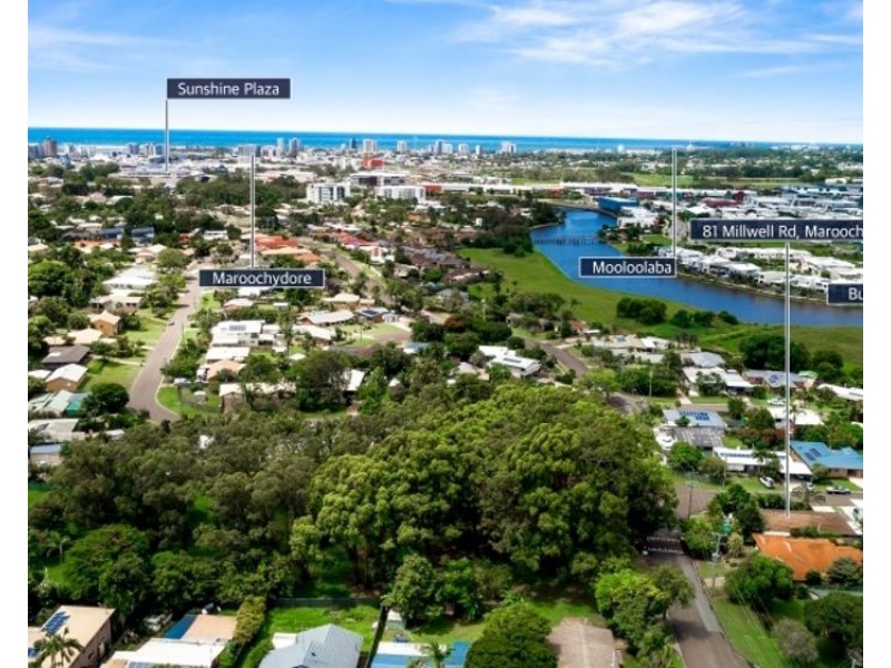 81 Millwell Road, Maroochydore QLD 4558