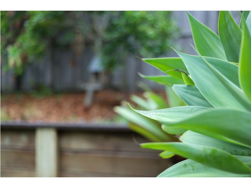 2/47 Lingara Avenue, Palmwoods QLD 4555