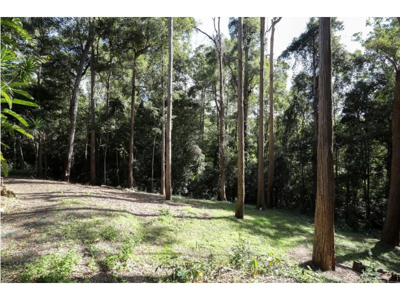57 Fern Gully Place, Mooloolah Valley QLD 4553