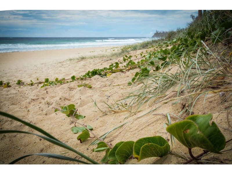 34/6 Beerburrum Street, Dicky Beach QLD 4551