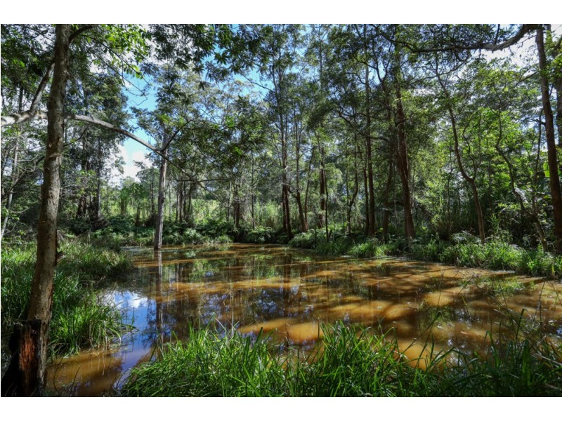 94 Robinson Road, Eudlo QLD 4554