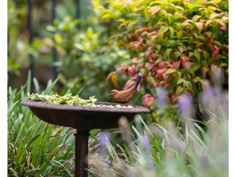 4 Majorca Place, Kawana Island QLD 4575