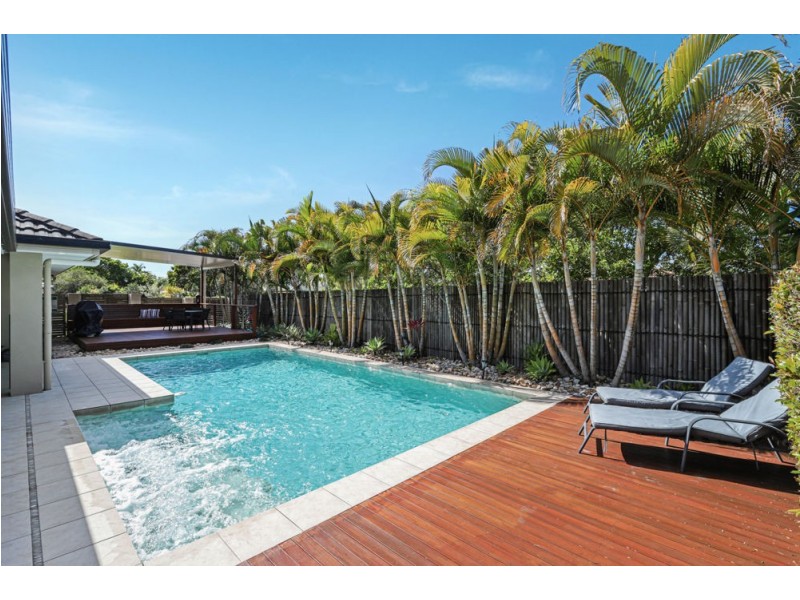 8 Whitewood Court, Mountain Creek QLD 4557