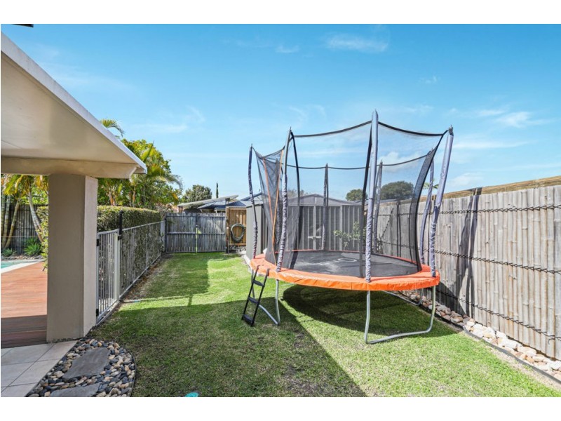 8 Whitewood Court, Mountain Creek QLD 4557