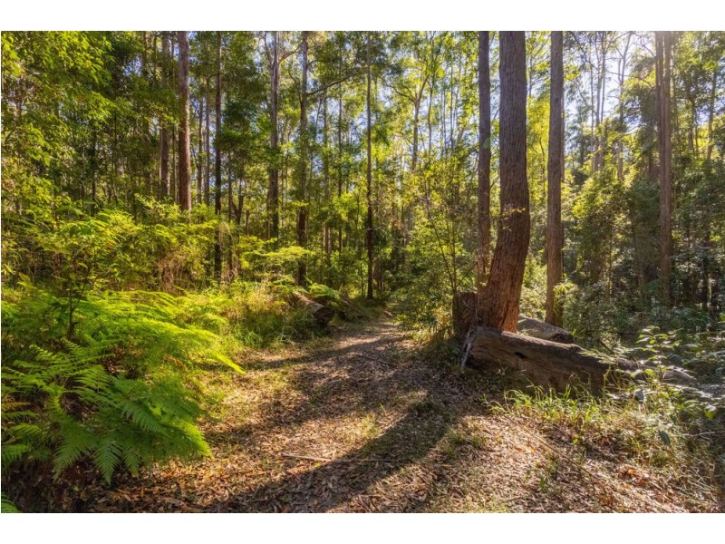 249 Wilson Road, Ilkley QLD 4554