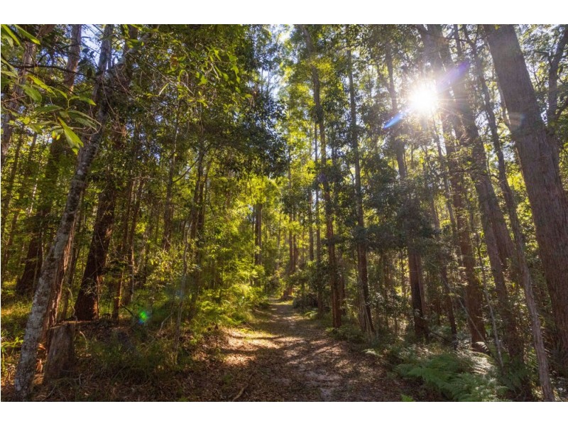 249 Wilson Road, Ilkley QLD 4554