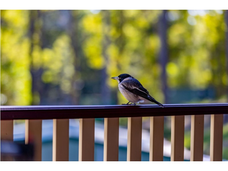 249 Wilson Road, Ilkley QLD 4554