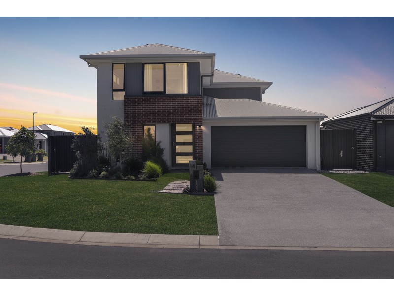 14 Needlewood Street, Palmview QLD 4553