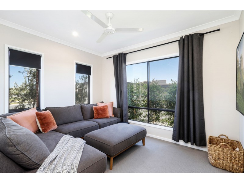 14 Needlewood Street, Palmview QLD 4553