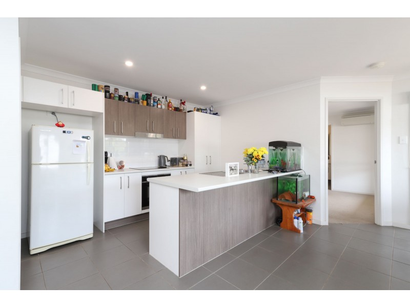 20 Bonaparte Place, Palmwoods QLD 4555