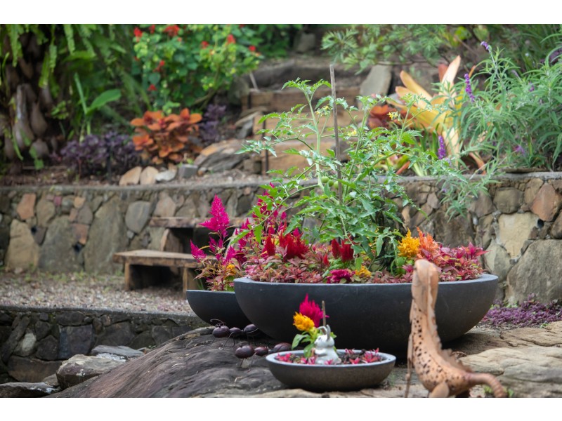 4 Suzen Court, Mooloolah Valley QLD 4553