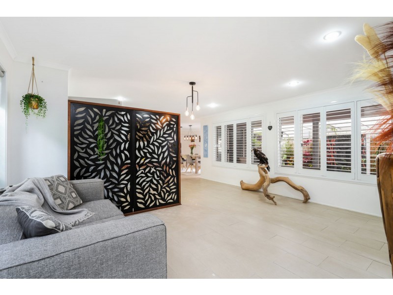 3 Felicia Court, Mountain Creek QLD 4557