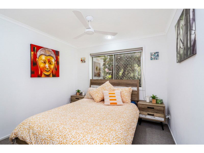 3 Felicia Court, Mountain Creek QLD 4557