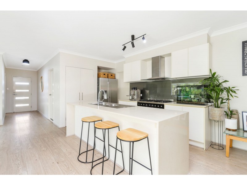 1 Parrot Place, Mountain Creek QLD 4557