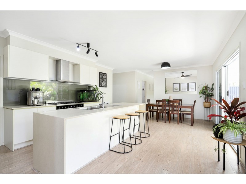 1 Parrot Place, Mountain Creek QLD 4557