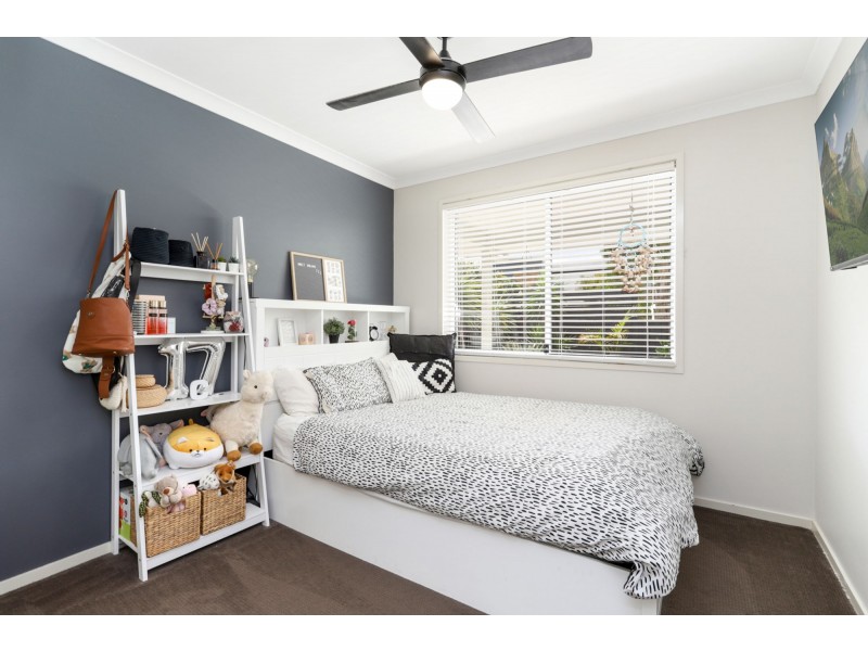 1 Parrot Place, Mountain Creek QLD 4557