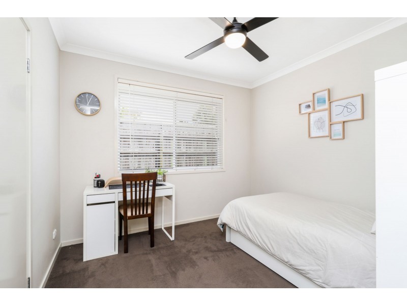 1 Parrot Place, Mountain Creek QLD 4557