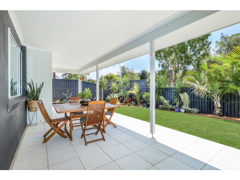 1 Parrot Place, Mountain Creek QLD 4557