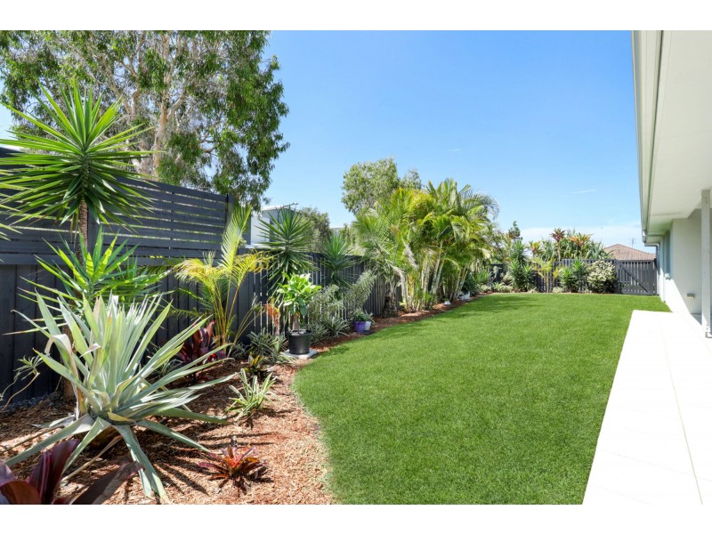 1 Parrot Place, Mountain Creek QLD 4557