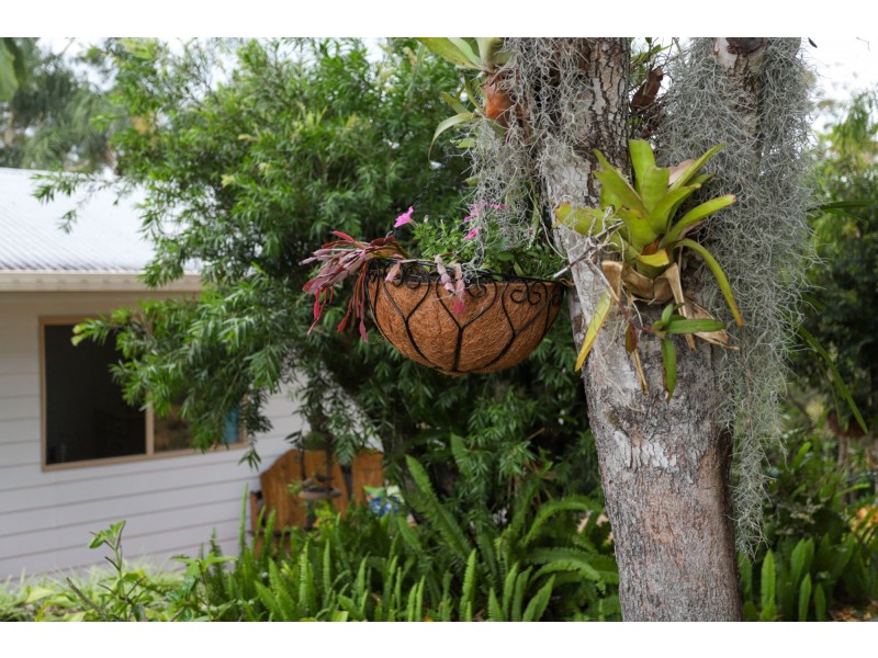 134 Panorama Drive, Rosemount QLD 4560