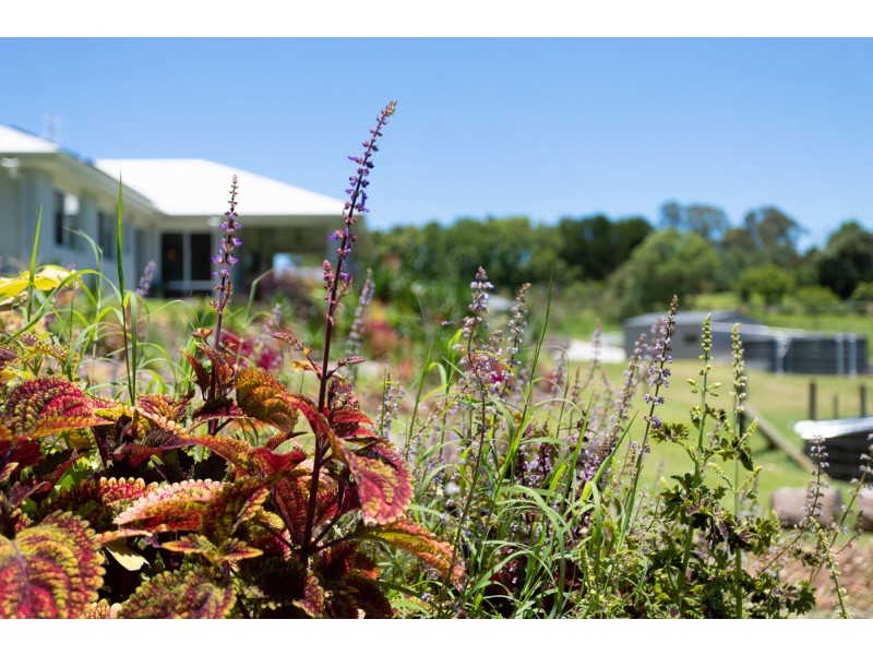 258 Dulong Road, Dulong QLD 4560