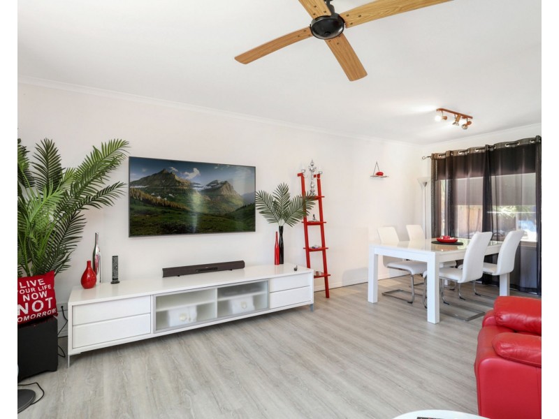 30 Satinwood Place, Mountain Creek QLD 4557