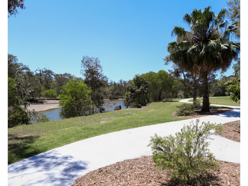 30 Satinwood Place, Mountain Creek QLD 4557