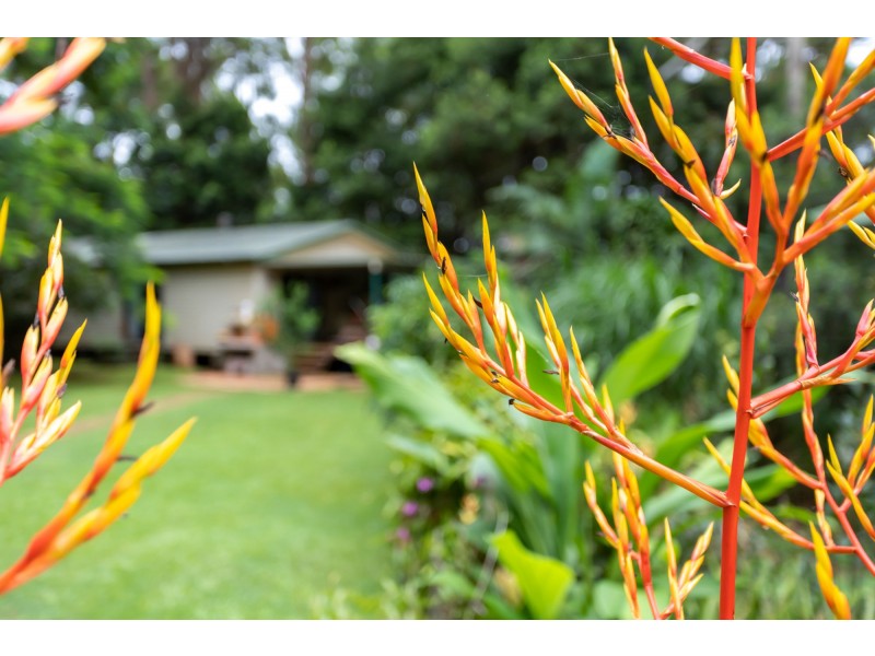 16 Mons Road, Buderim QLD 4556