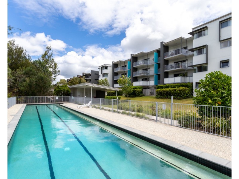 53/8 Starling Street, Buderim QLD 4556