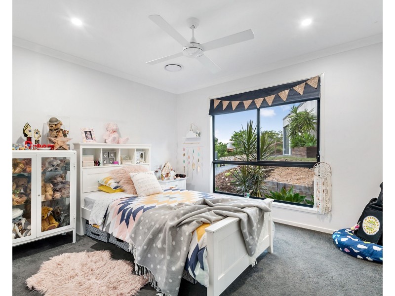20 Kookaburra Drive, Palmview QLD 4553