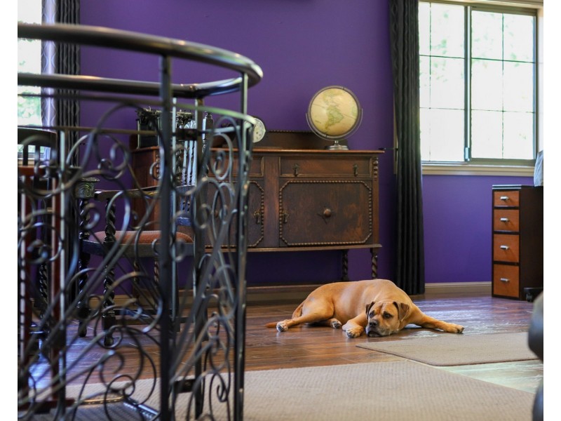 132 Panorama Drive, Rosemount QLD 4560