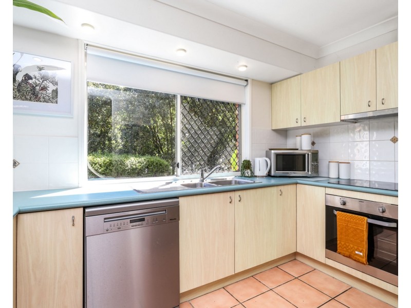 19 Placid Place, Buderim QLD 4556