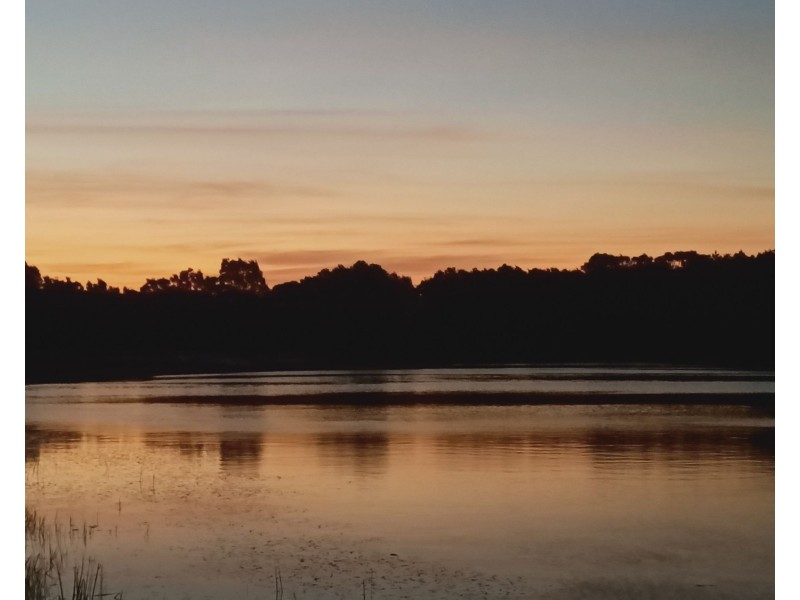 11 Silky Oak Place, Pelican Waters QLD 4551