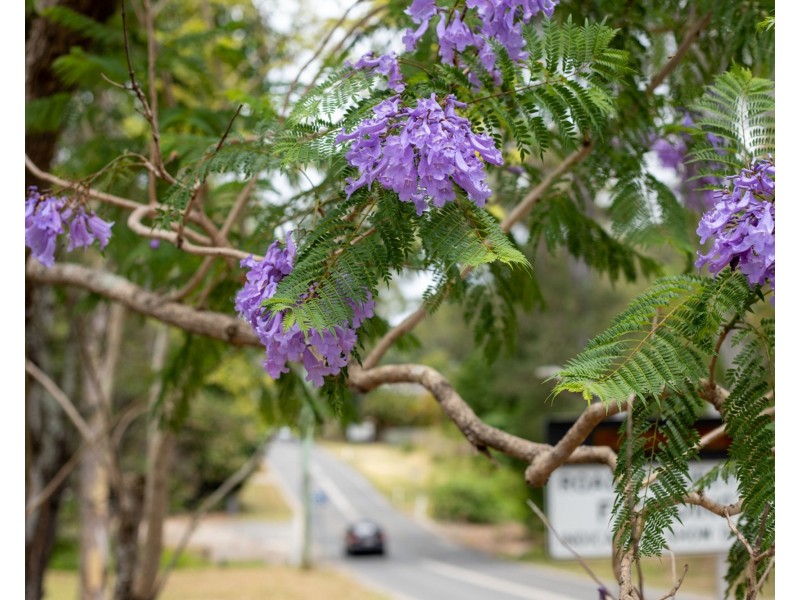 Lot 7, 20 Bahrs Scrub Road, Bahrs Scrub QLD 4207