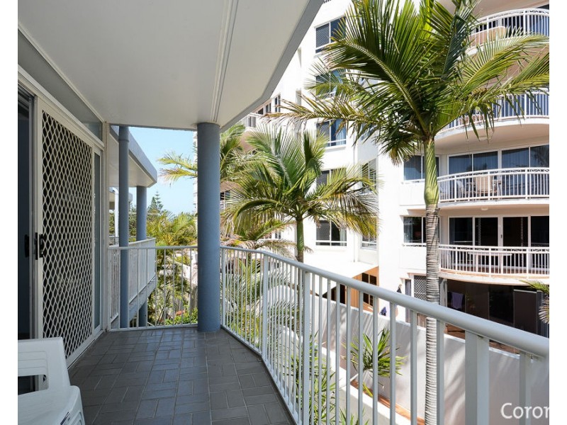 8/93 Iluka Avenue, Buddina QLD 4575