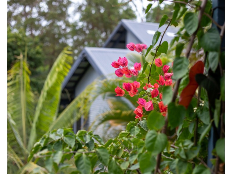 8 Yeramba Place, Buderim QLD 4556