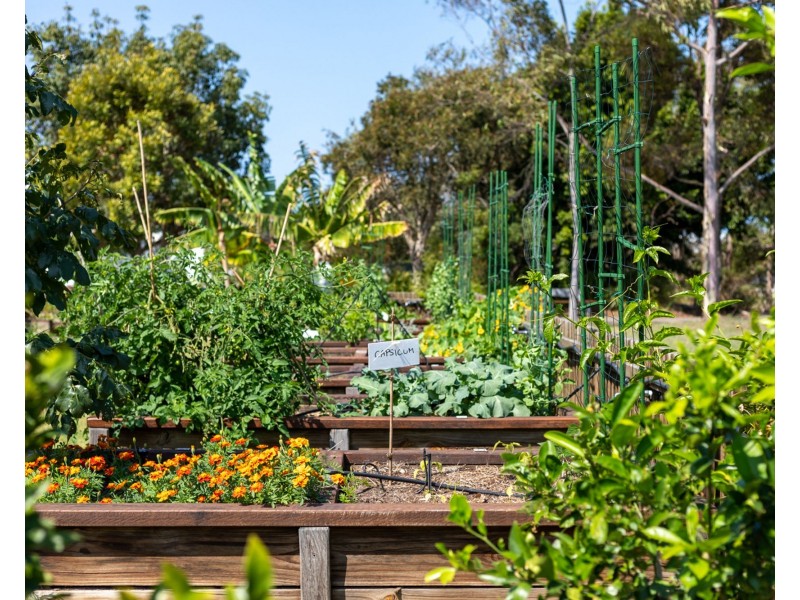 2/15 Amber Drive, Caloundra West QLD 4551