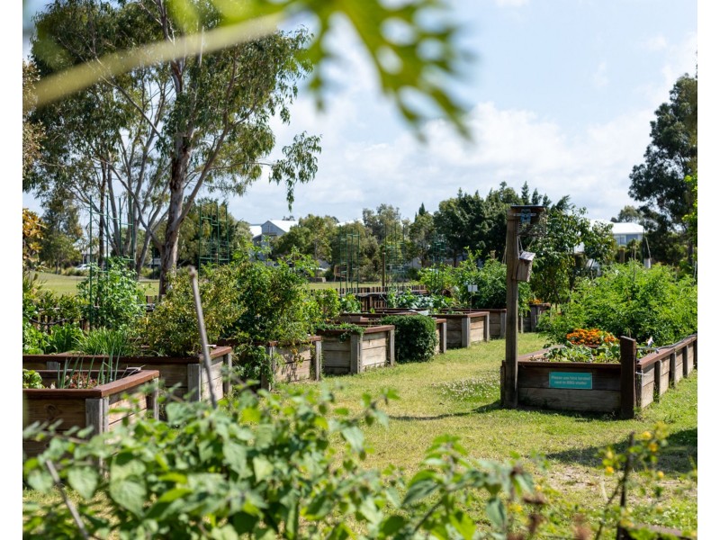 2/15 Amber Drive, Caloundra West QLD 4551