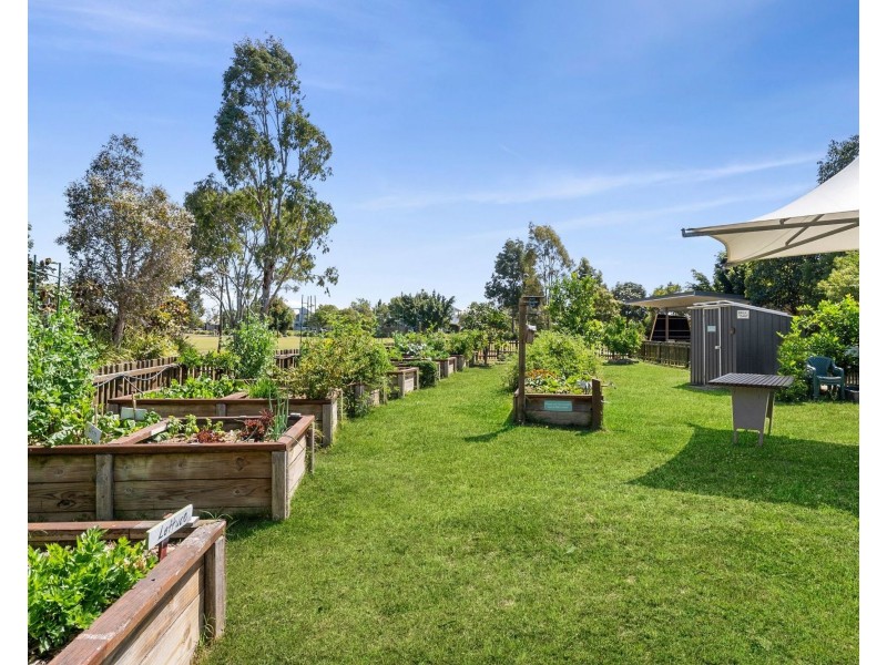 2/15 Amber Drive, Caloundra West QLD 4551