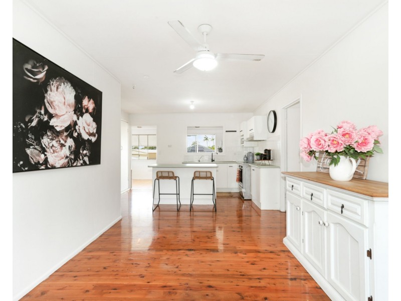 19 Grevillea Street, Bellara QLD 4507