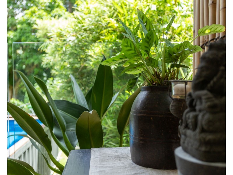 49 Petrie Creek Road, Rosemount QLD 4560