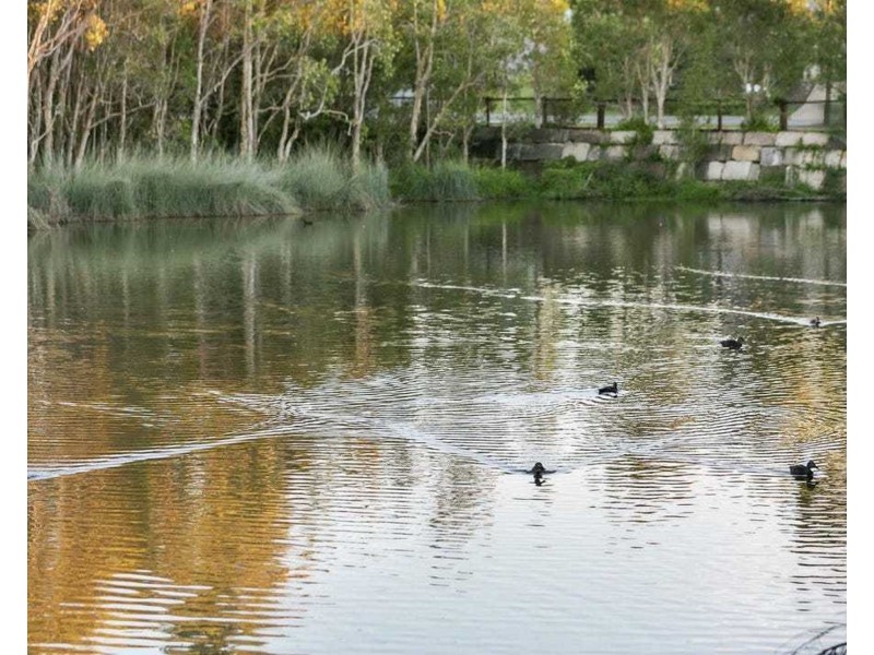 30 Carisbrook Court, Little Mountain QLD 4551