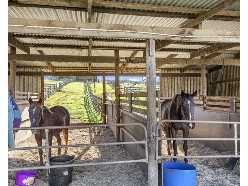 Woombye QLD 4559